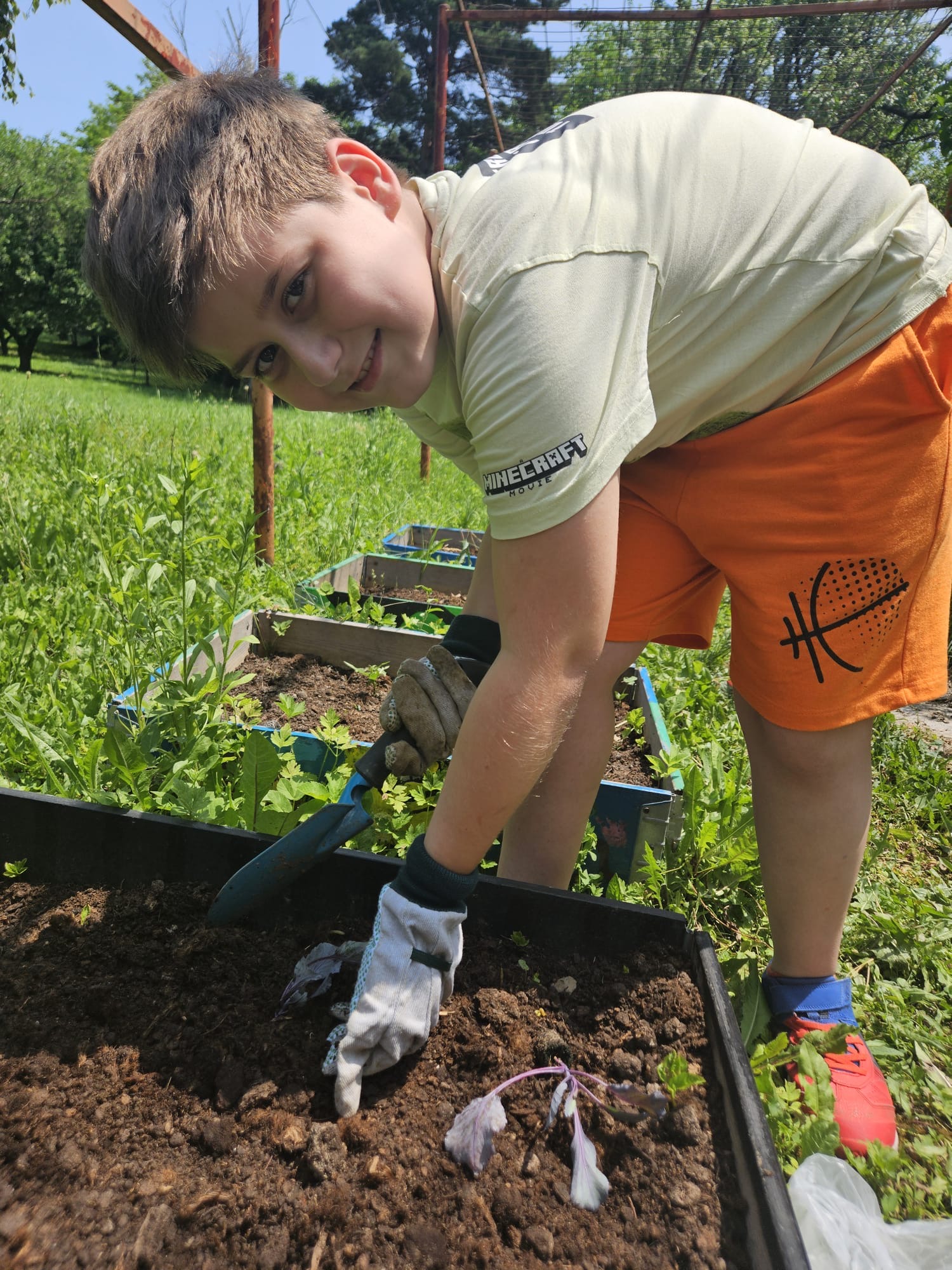 7b995412-5e68-4654-9594-7d1e244ec0ec